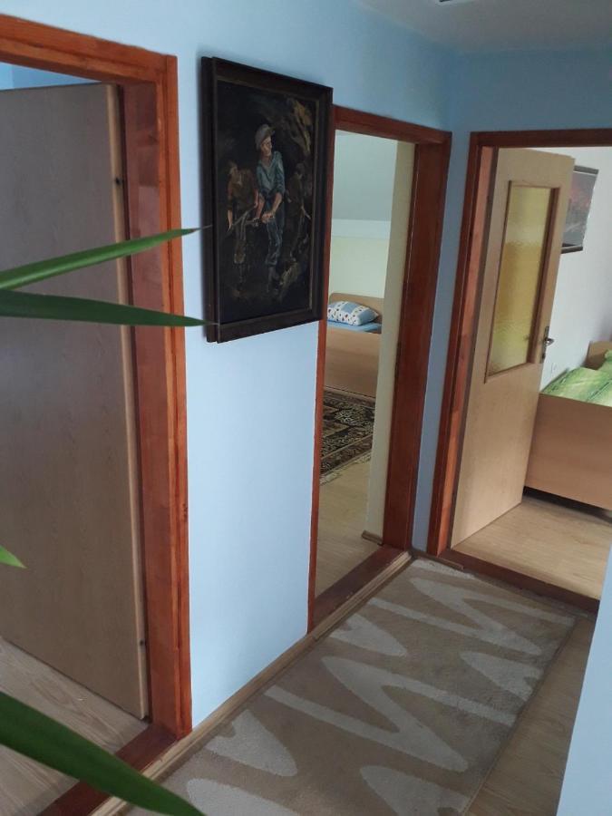 MiljevinaPrenociste Vitas住宿加早餐旅馆 外观 照片