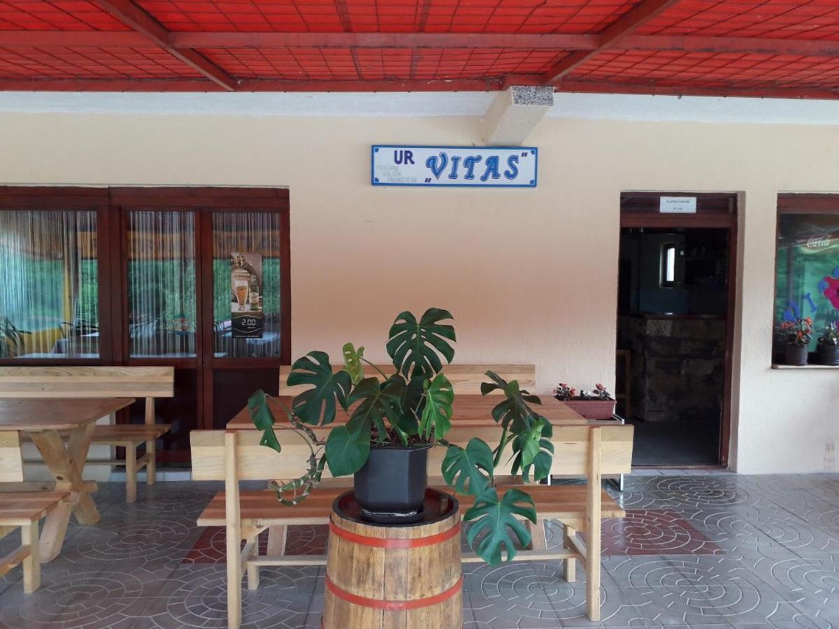 MiljevinaPrenociste Vitas住宿加早餐旅馆 外观 照片